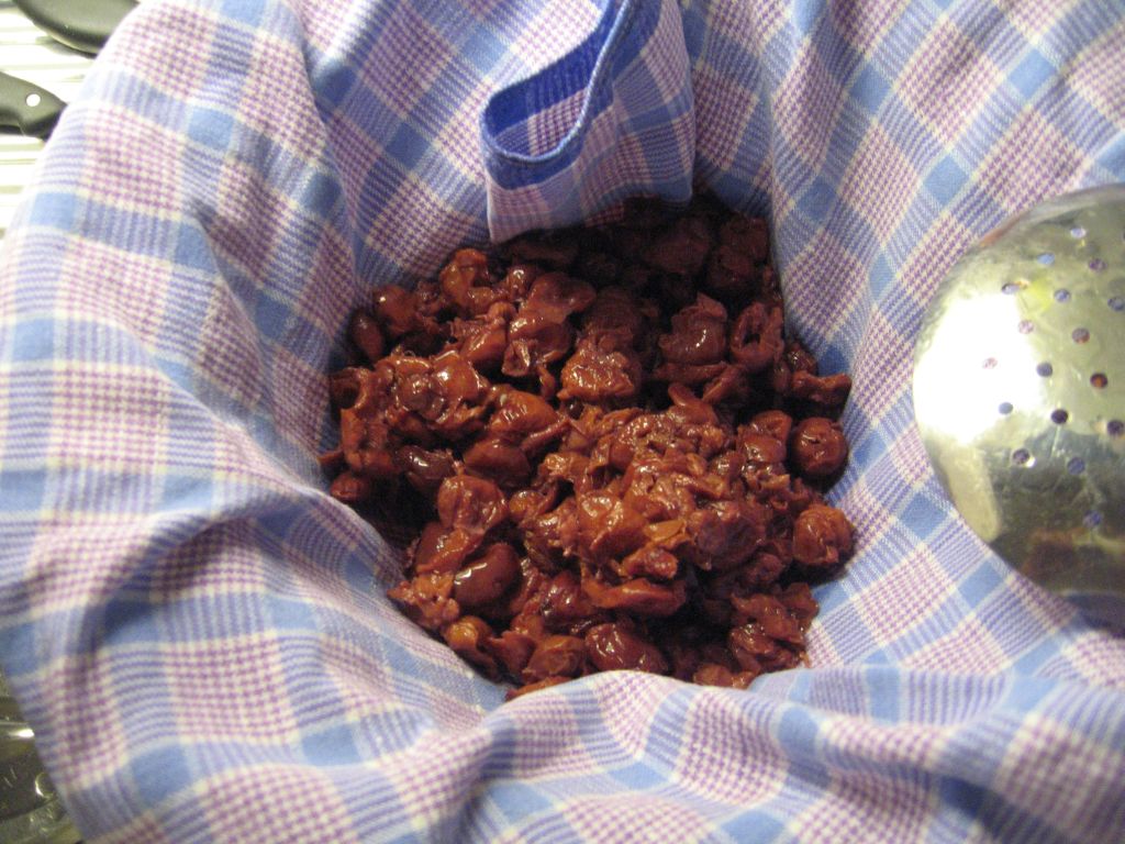 Die ersten Kirschen sind zum auspressen bereit.jpg