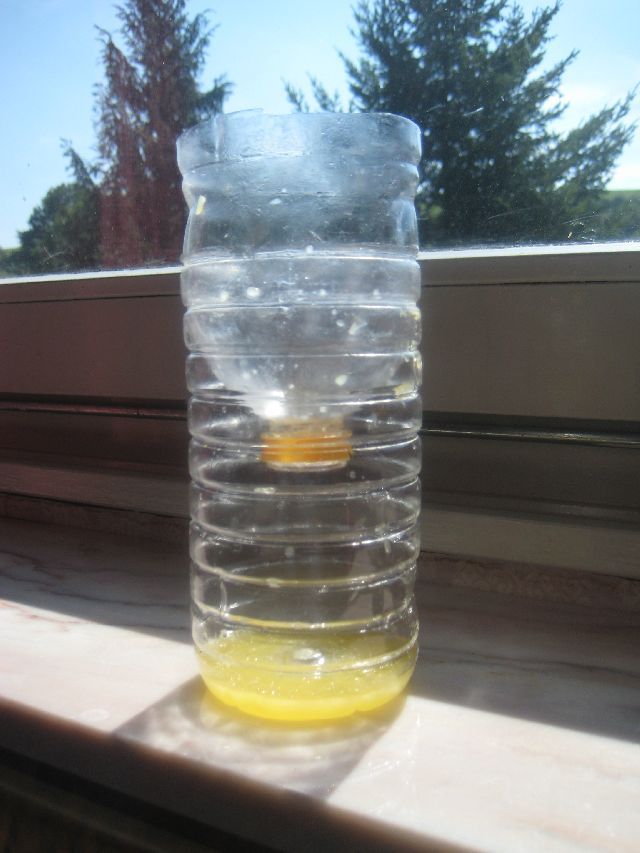 w1.jpg