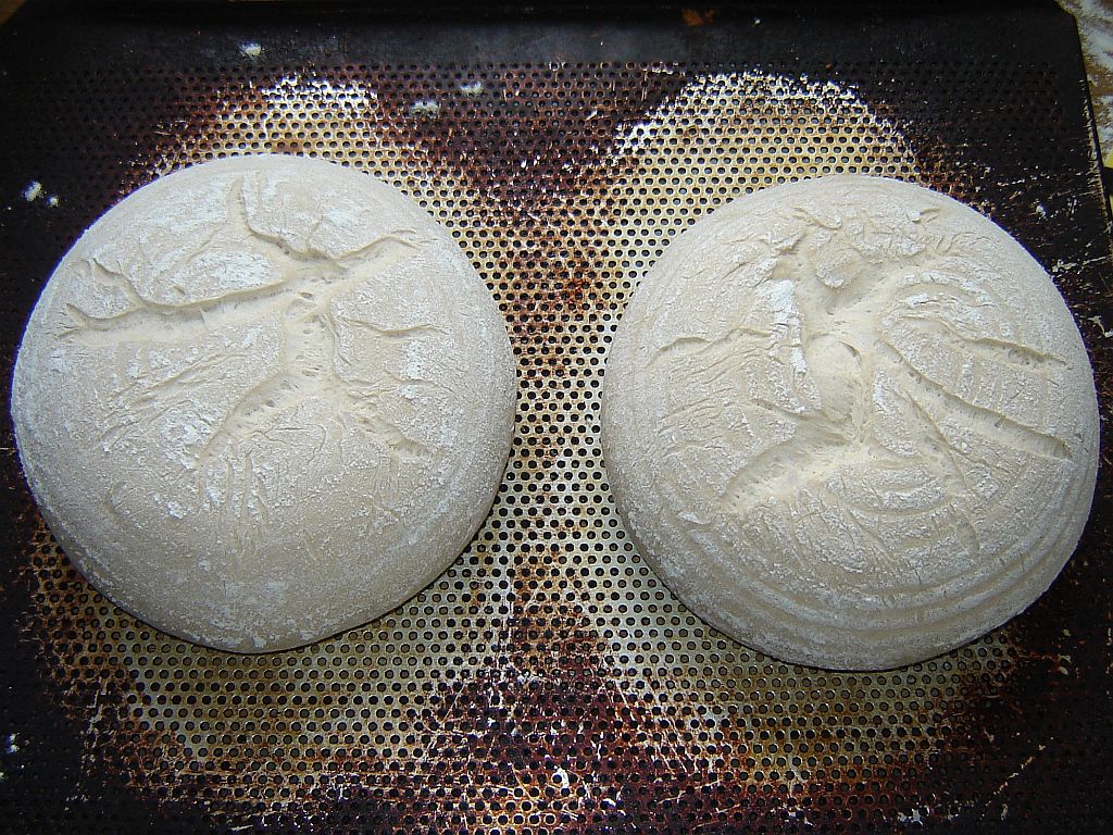 OBM-Weizen-04.jpg