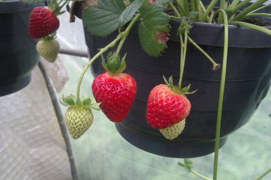 IMAG0464.jpg