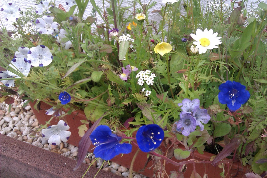 IMAG0478.jpg