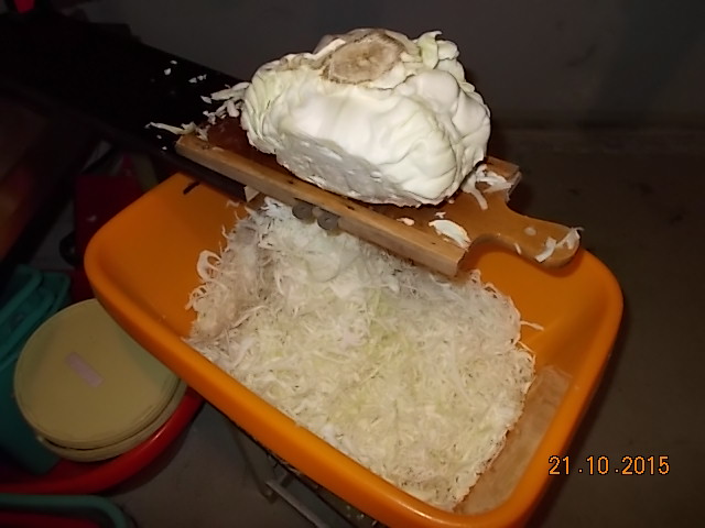Aktion Sauerkraut 2015-001.JPG