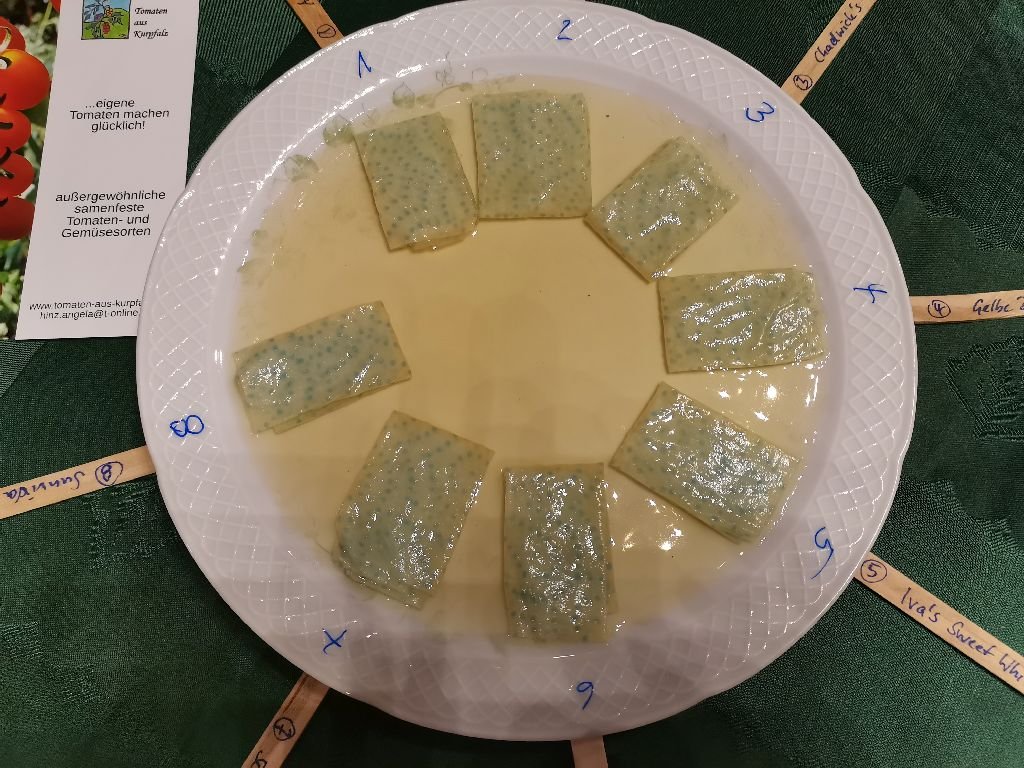 Tomaten_2023_03.jpg