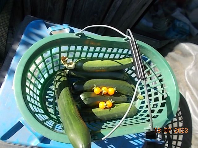 DSCN1617.JPG