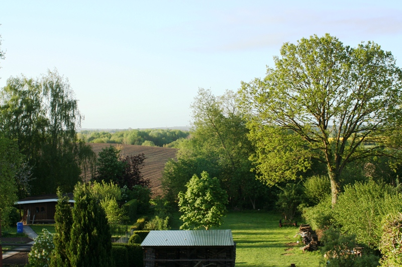 Fensterblick.jpg
