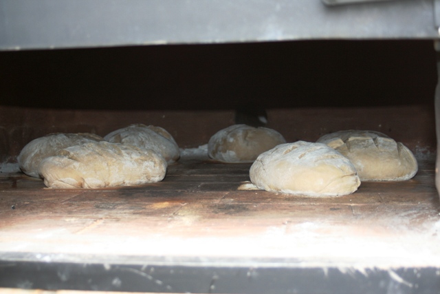 Brot eingeschoßen.jpg